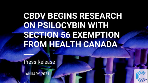 psilocybin research health canada